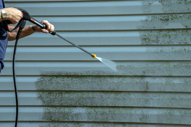 Best Roof Washing  in Vernon Valley, NJ